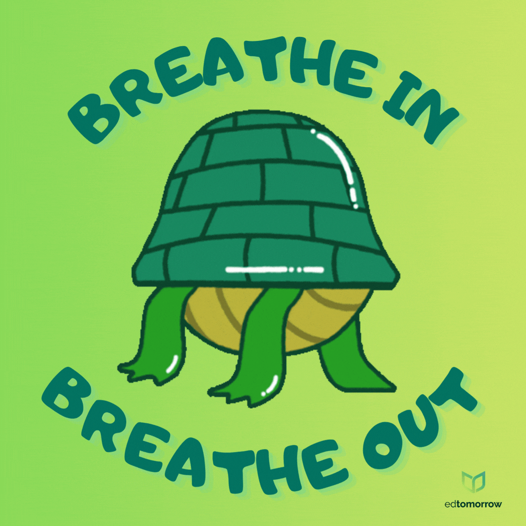 Turtle Breathing