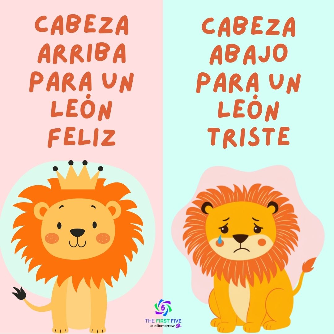 León Feliz o Triste