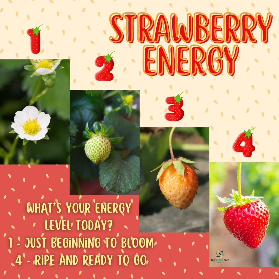 Strawberry Energy Levels