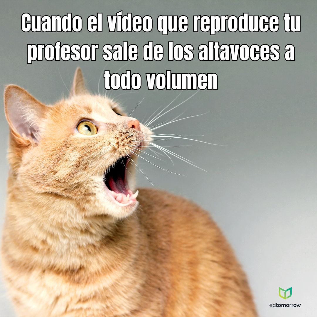 Altavoz de Volumen Completo