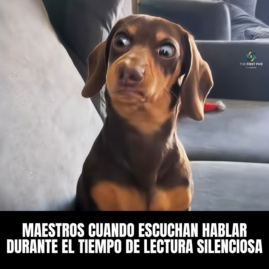Lectura Silenciosa Mirada de Reojo