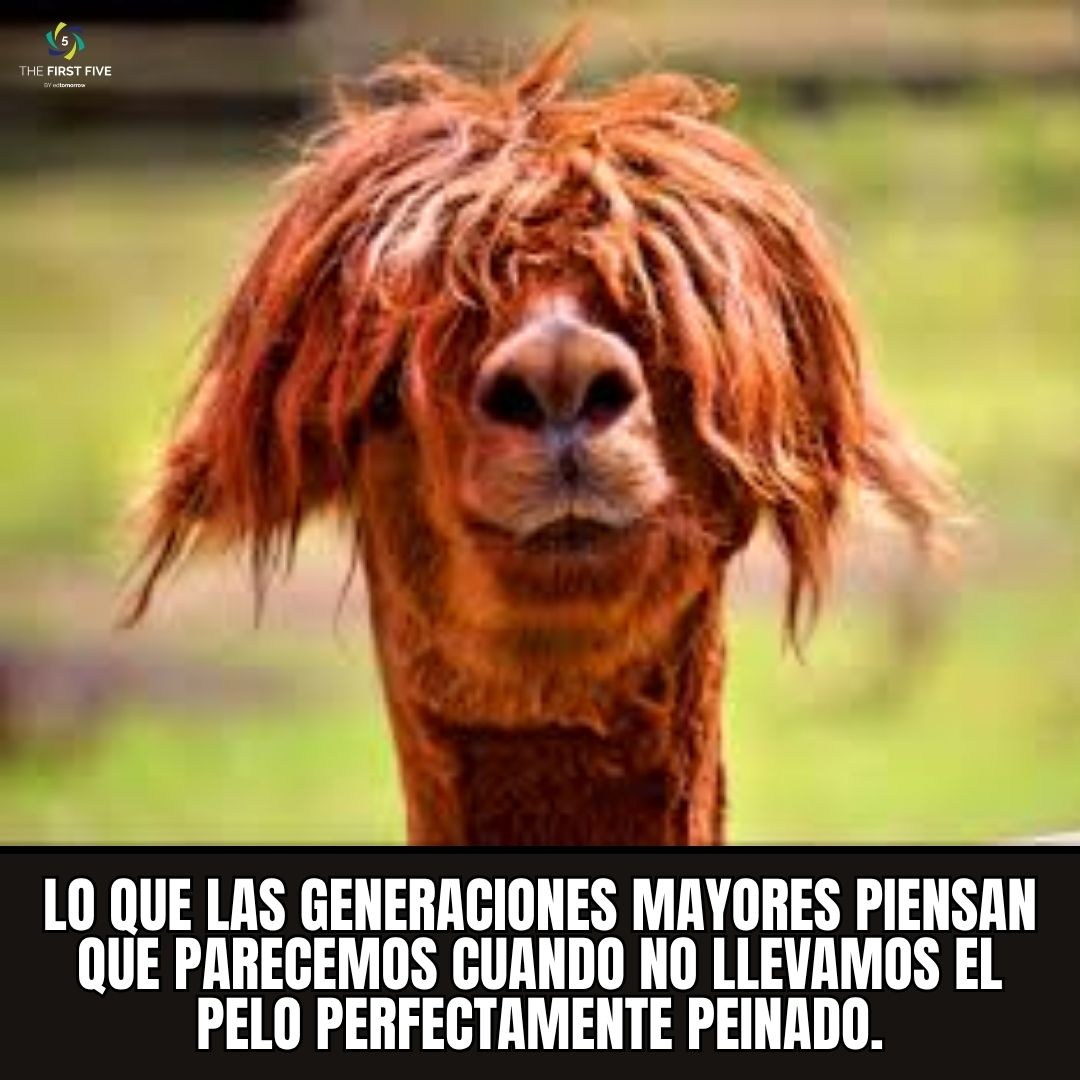 Llama Cabello Perfecto