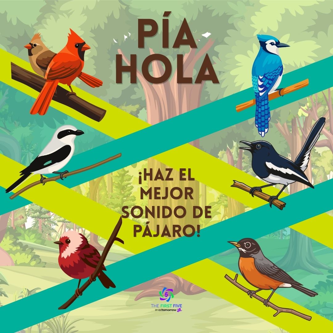 Pío Hola Canto de Aves