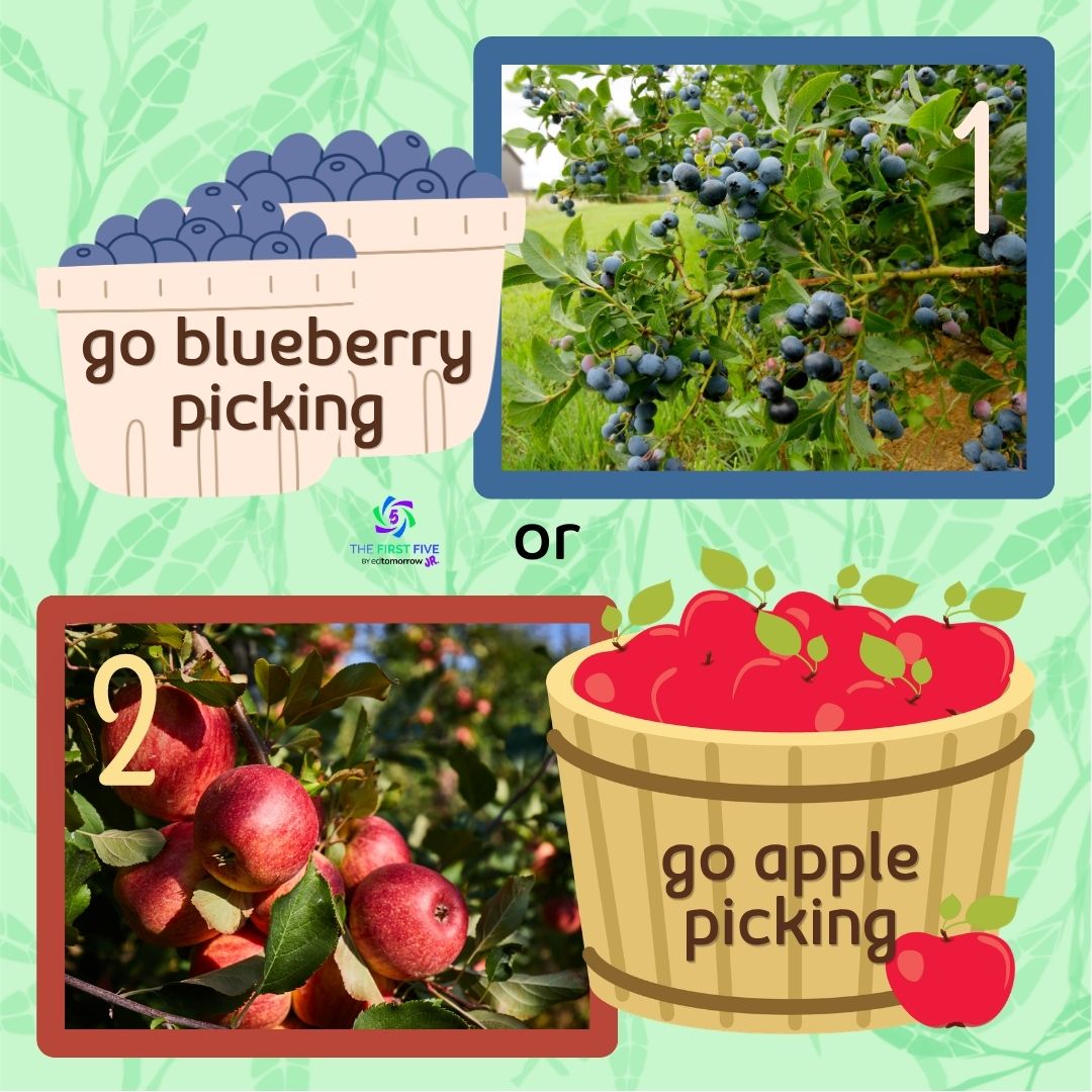 Blueberry or Apple Picking