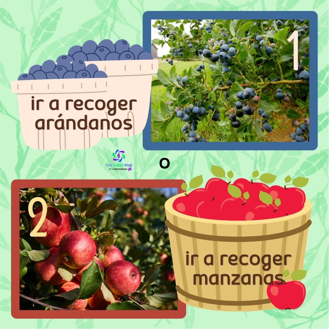Recolección de Arándanos o Manzanas