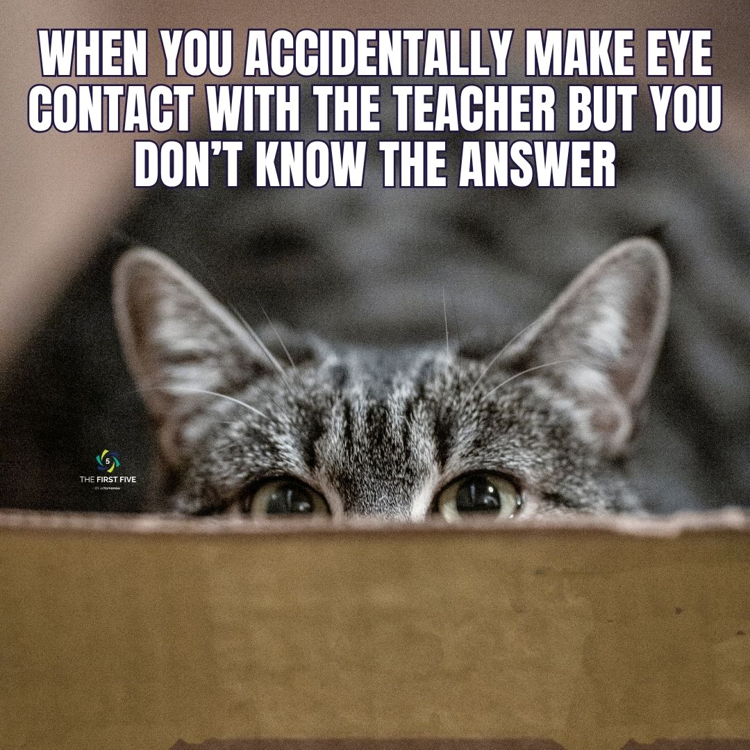 Cat Answer Eye Contact