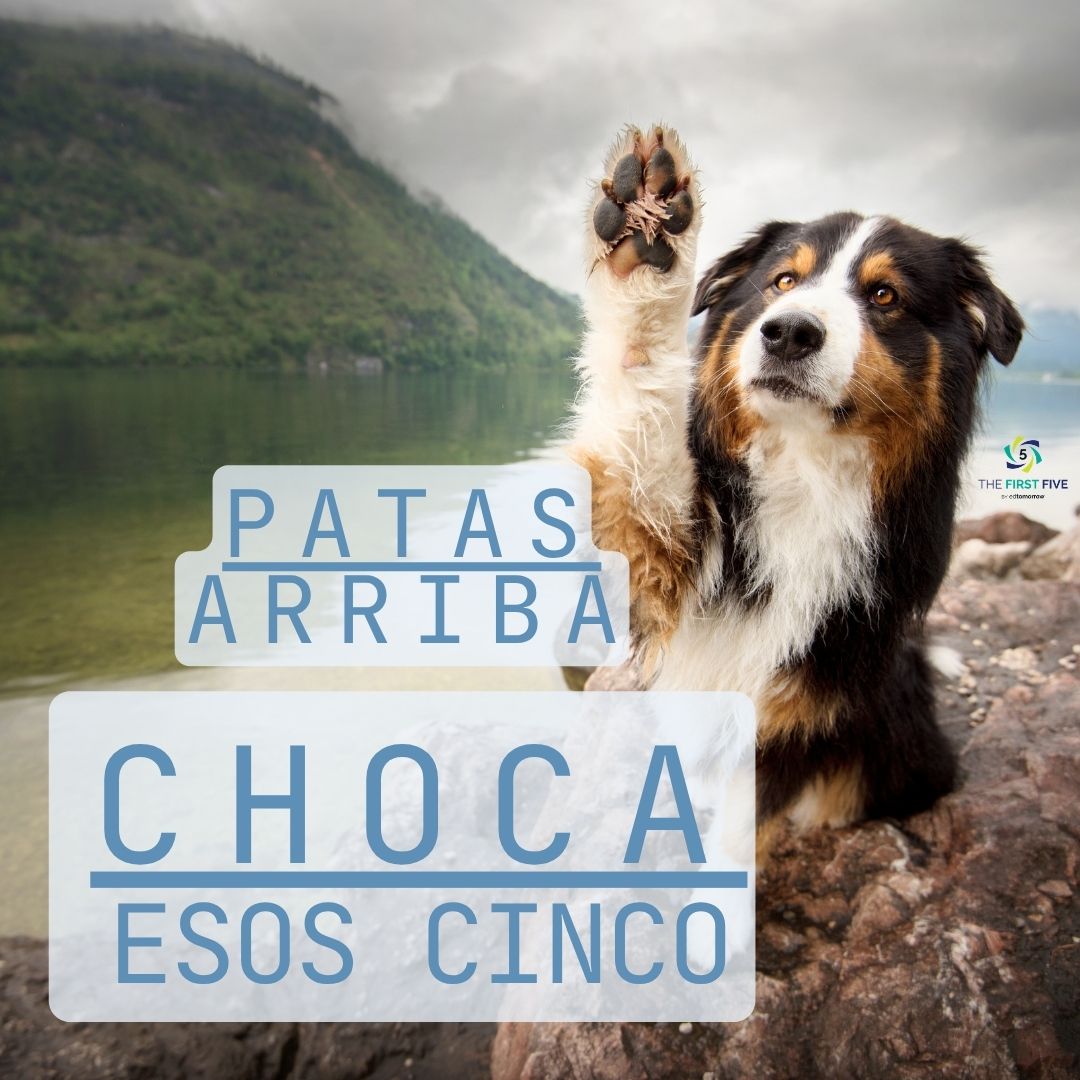 Patas Arriba Choca Esos Cinco