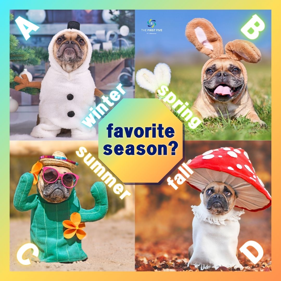 Bulldog Favorite Seasons
