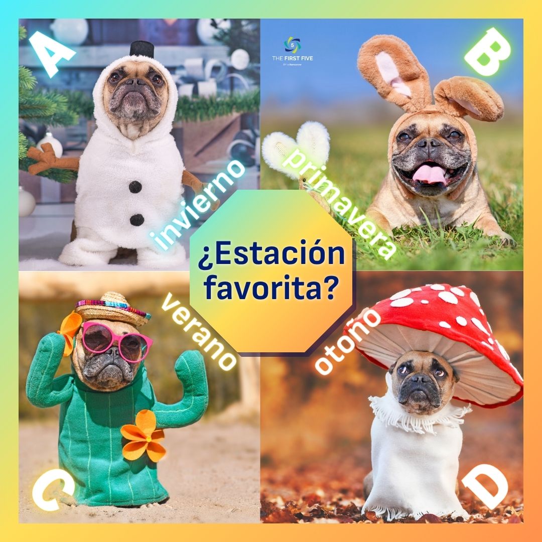 Estaciones Favoritas del Bulldog