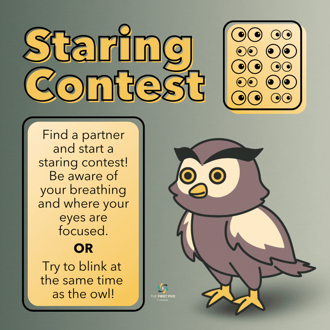 Owl Staring Contest