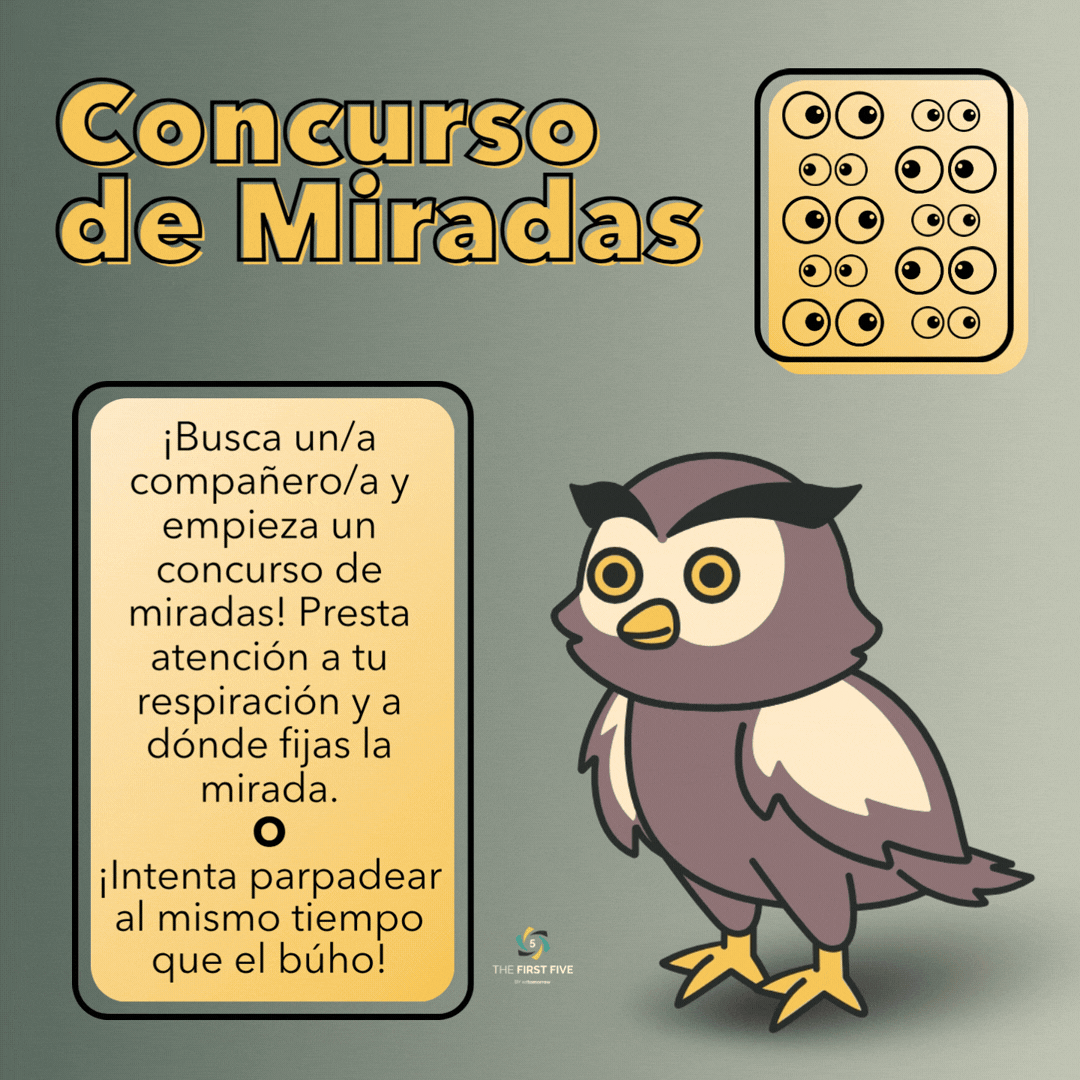 Concurso de Miradas de Búho