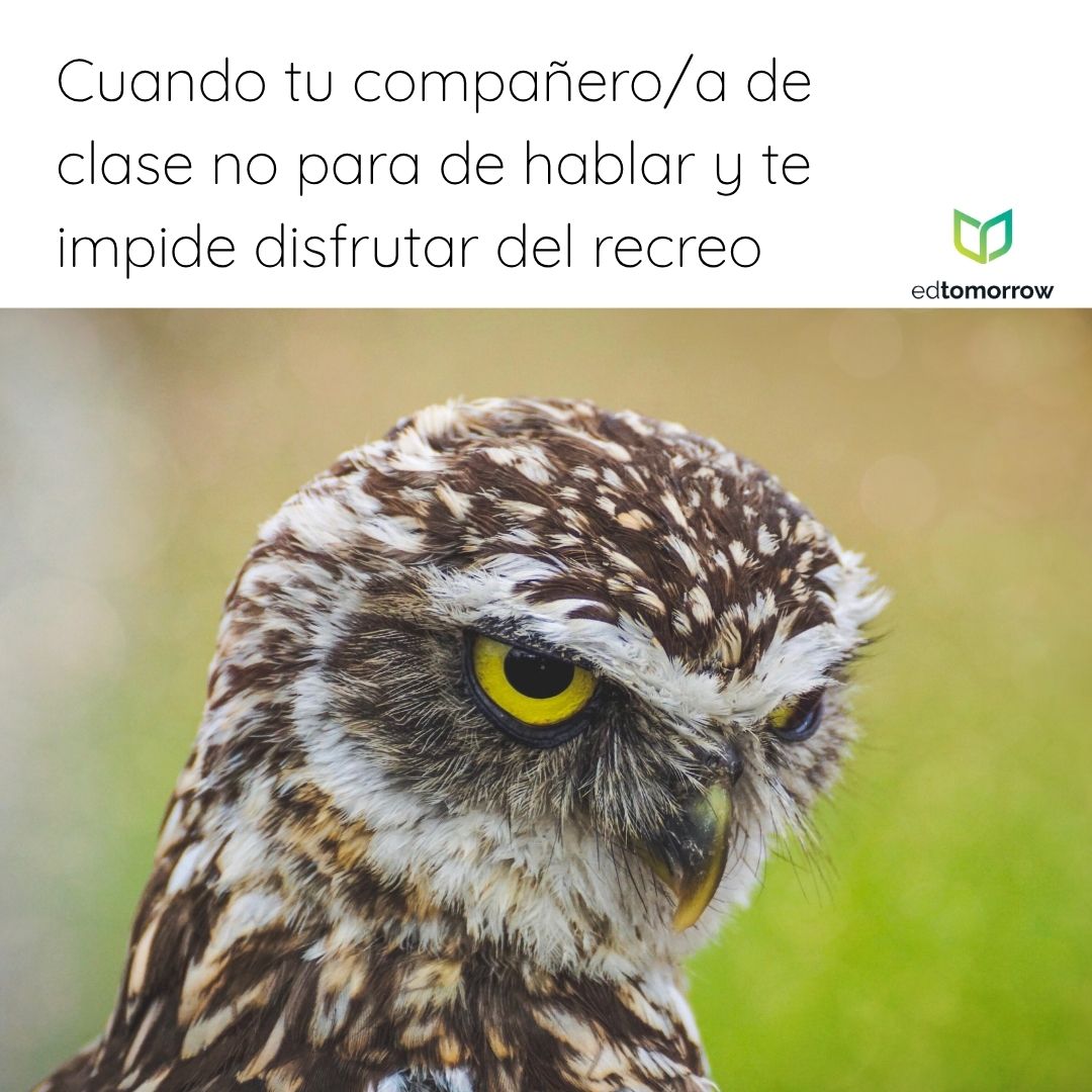 ¡Vamos Ya!