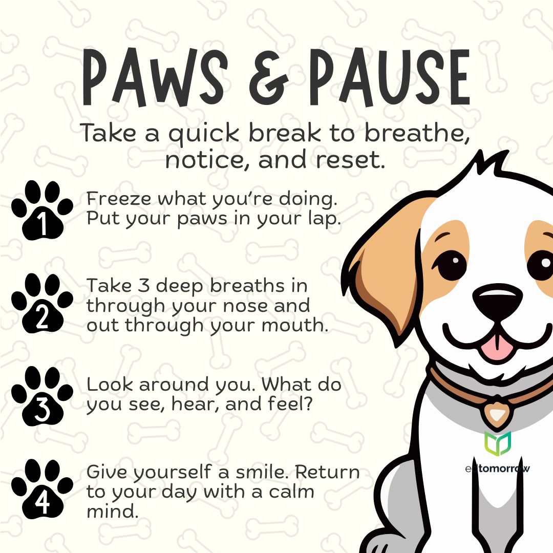 Paws and Pause