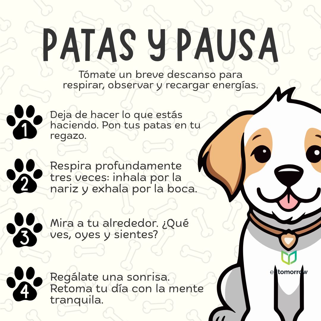 Patas y Patas