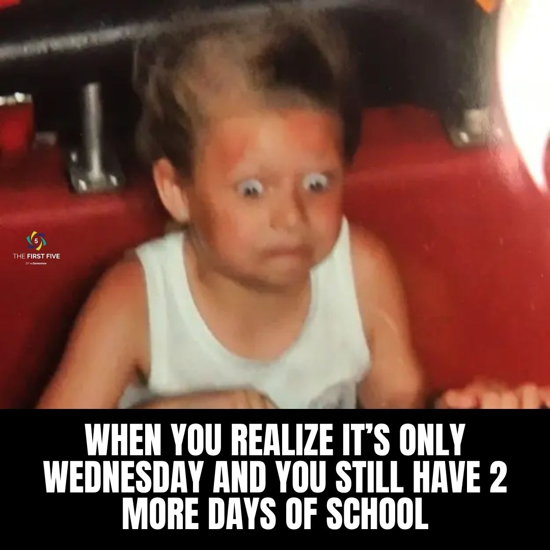 Only Wednesday Face