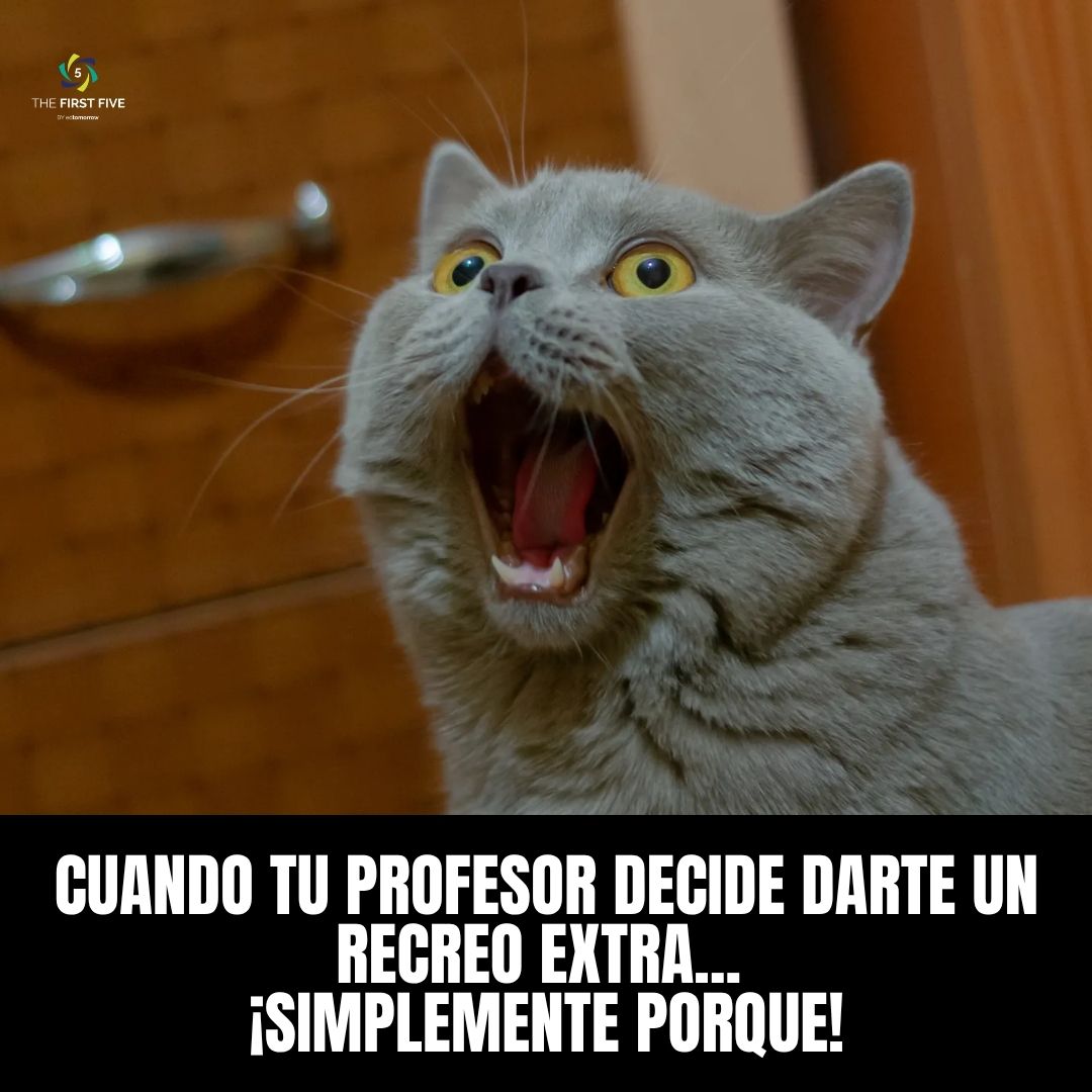 Solo Porque sí Recreo Extra