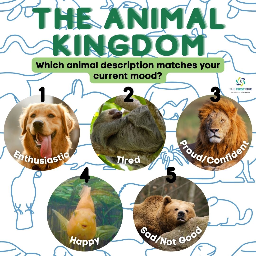 The Animal Kingdom