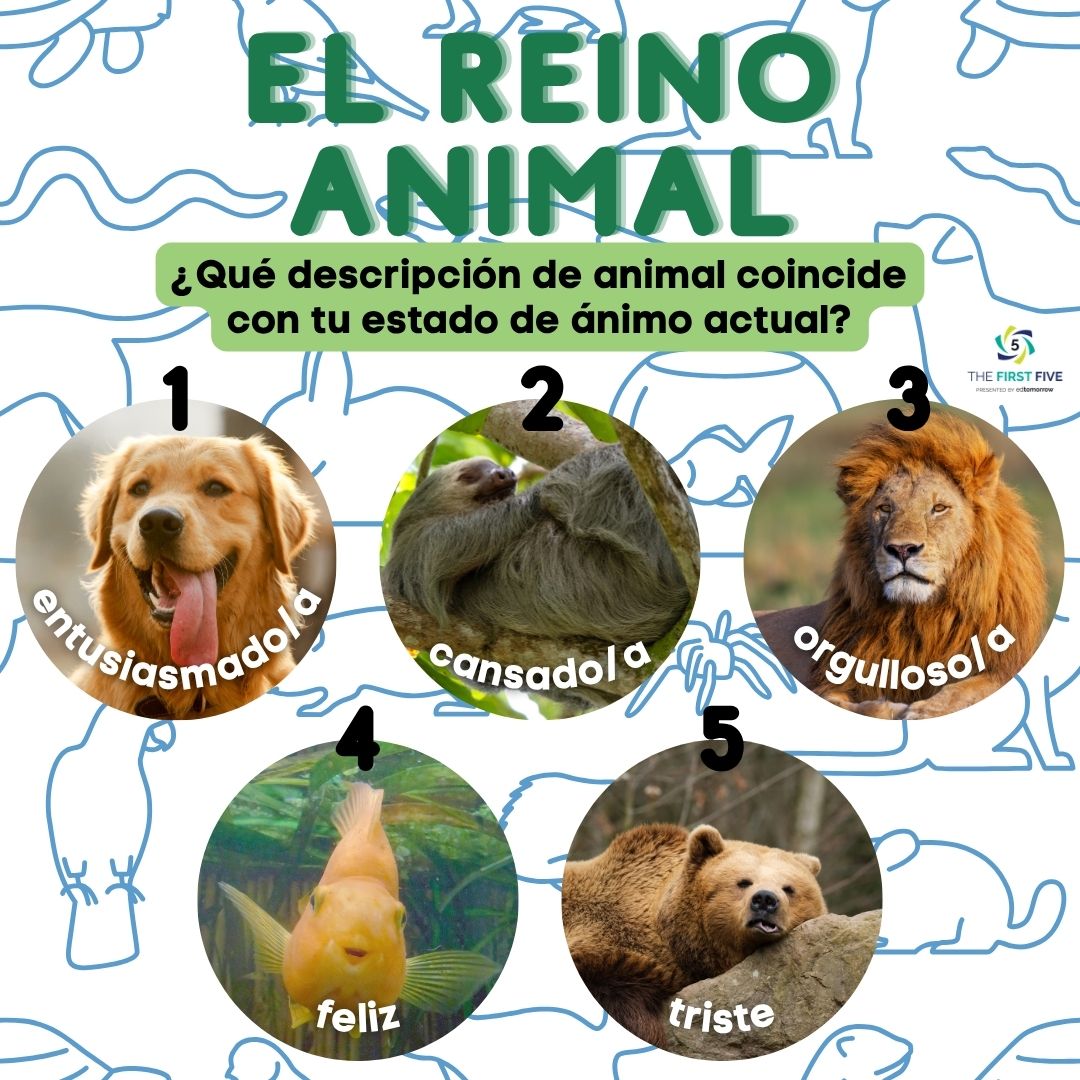 El Reino Animal