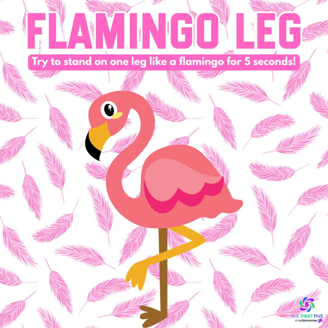 Flamingo Leg