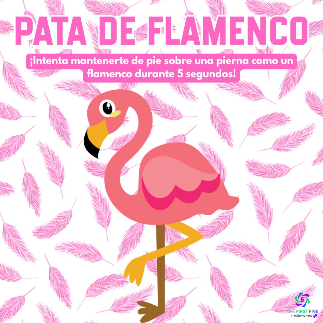 Pata de Flamenco