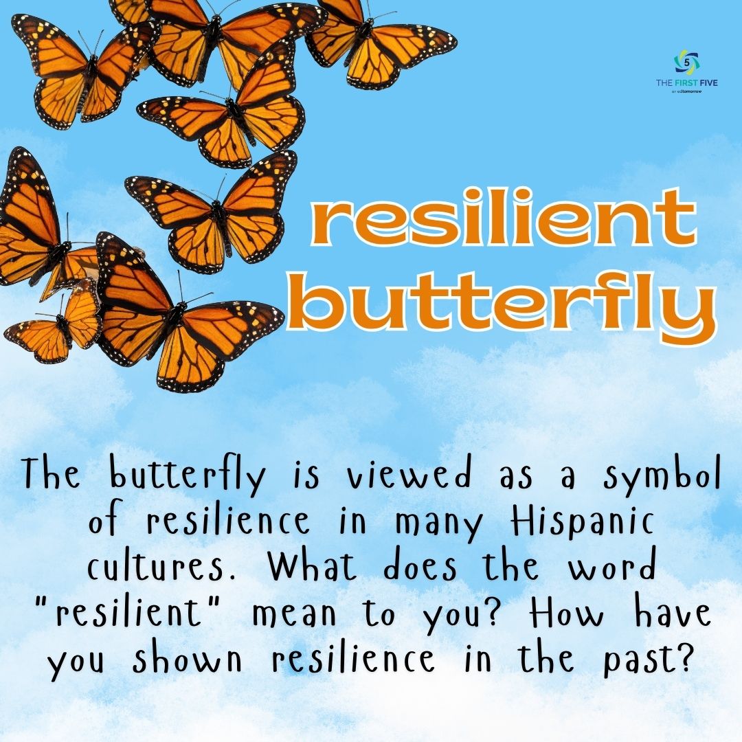 Resilient Butterfly