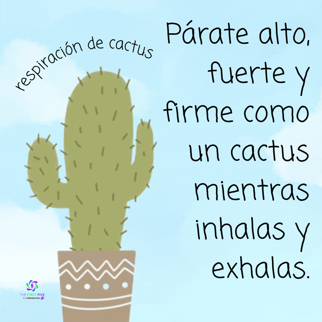 Respiración con Cactus