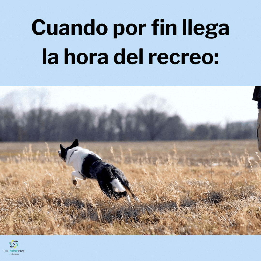 Corriendo al Recreo