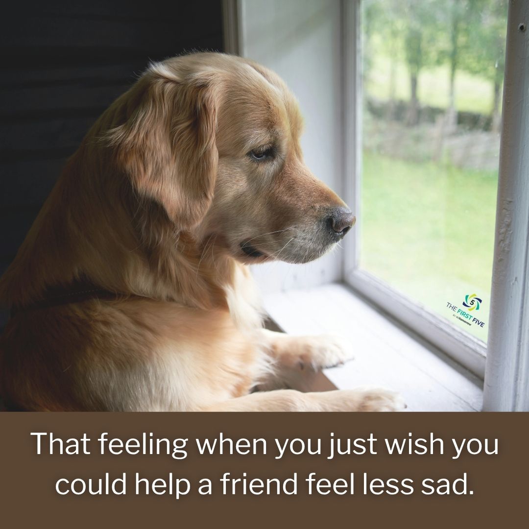 Help a Friend