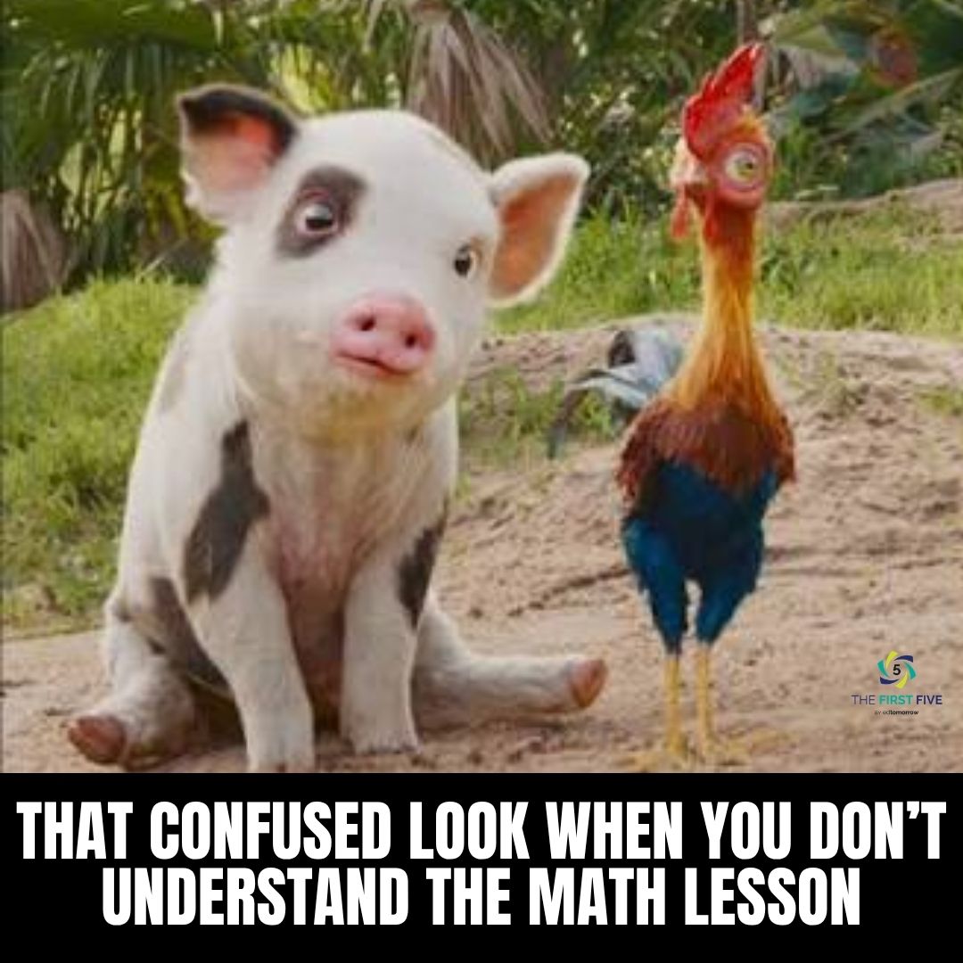 Confused in Math