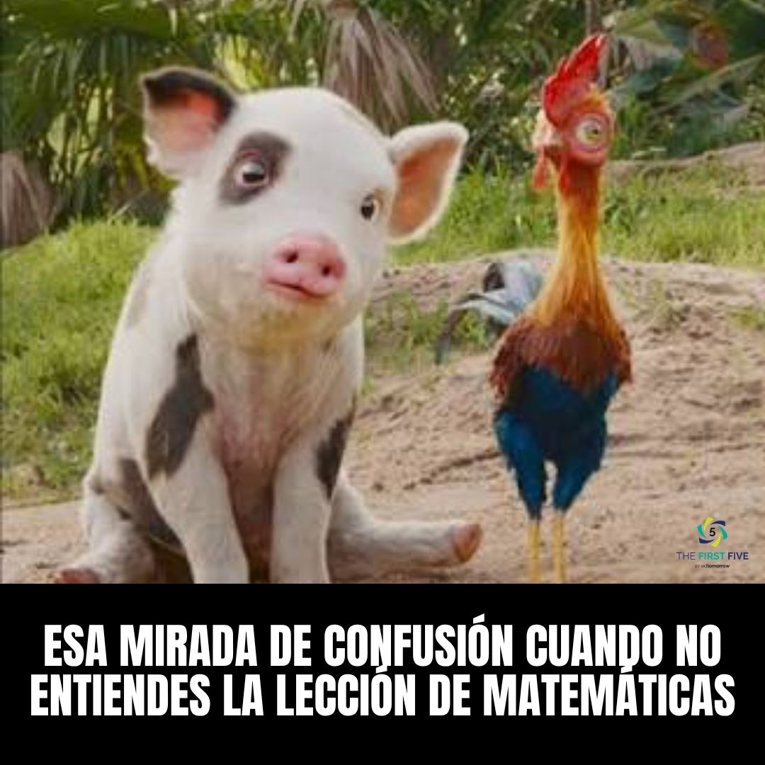 Confundido en Matemáticas