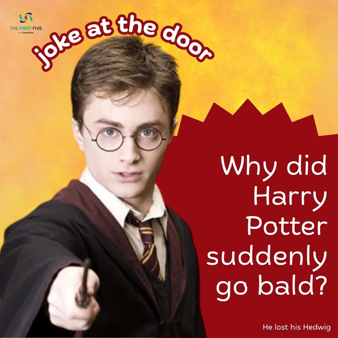 Harry Potter Hedwig Joke