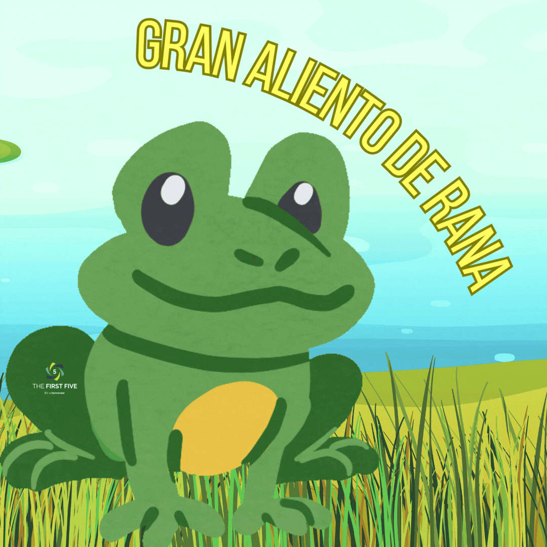 Respiración de la Rana Grande