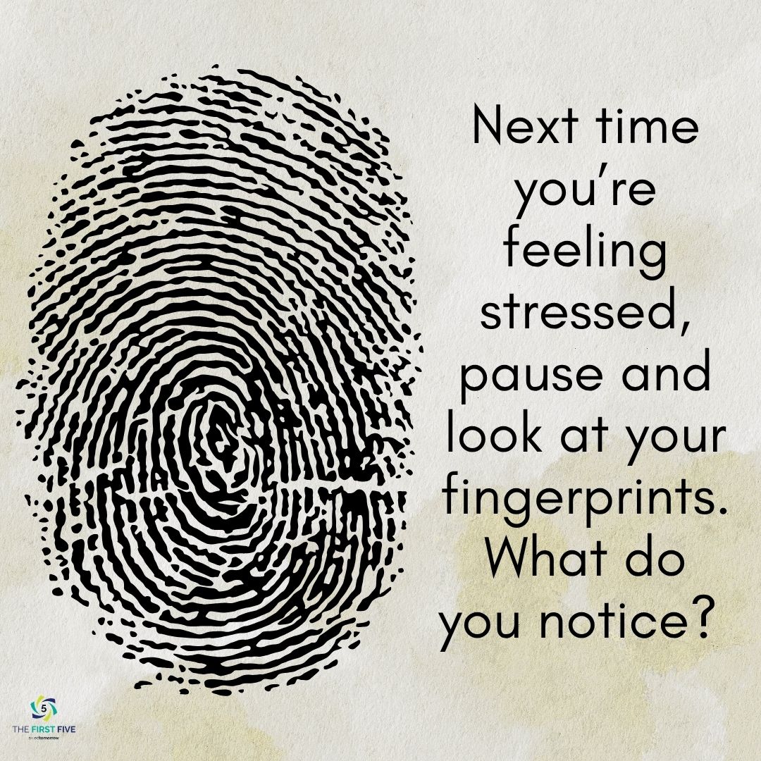 Fingerprint Pause