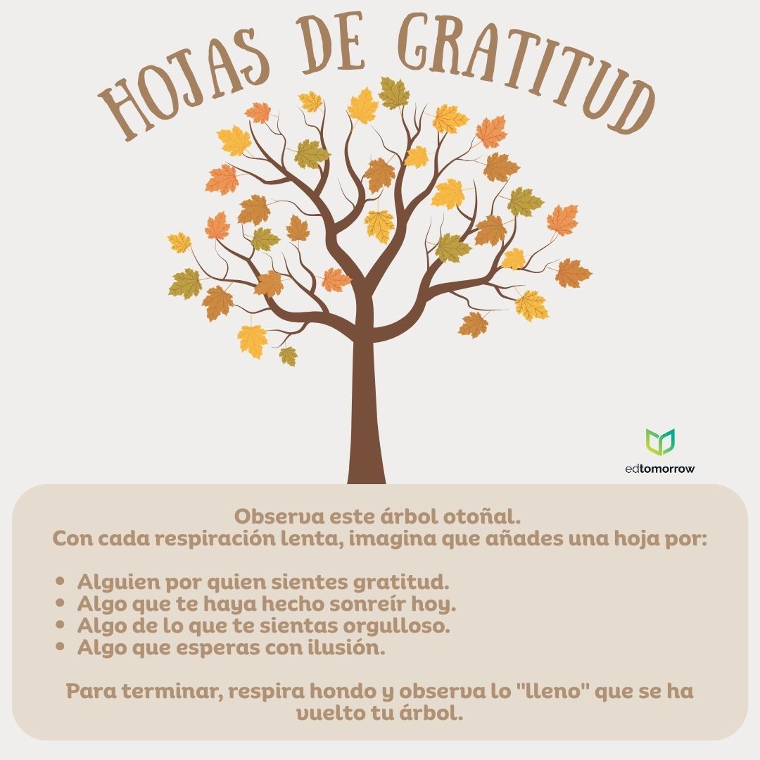 Hojas de Gratitud