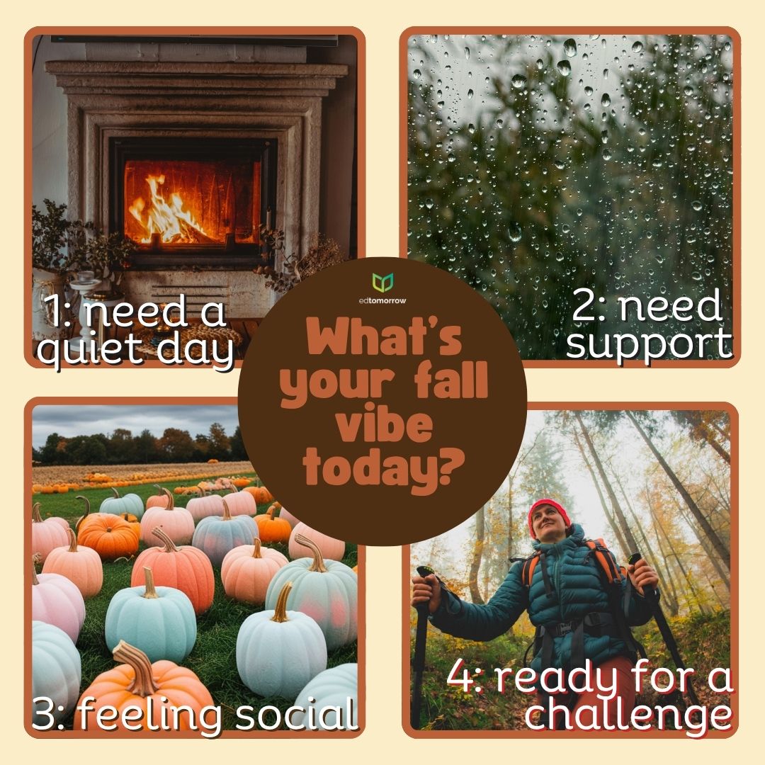 Fall Vibes