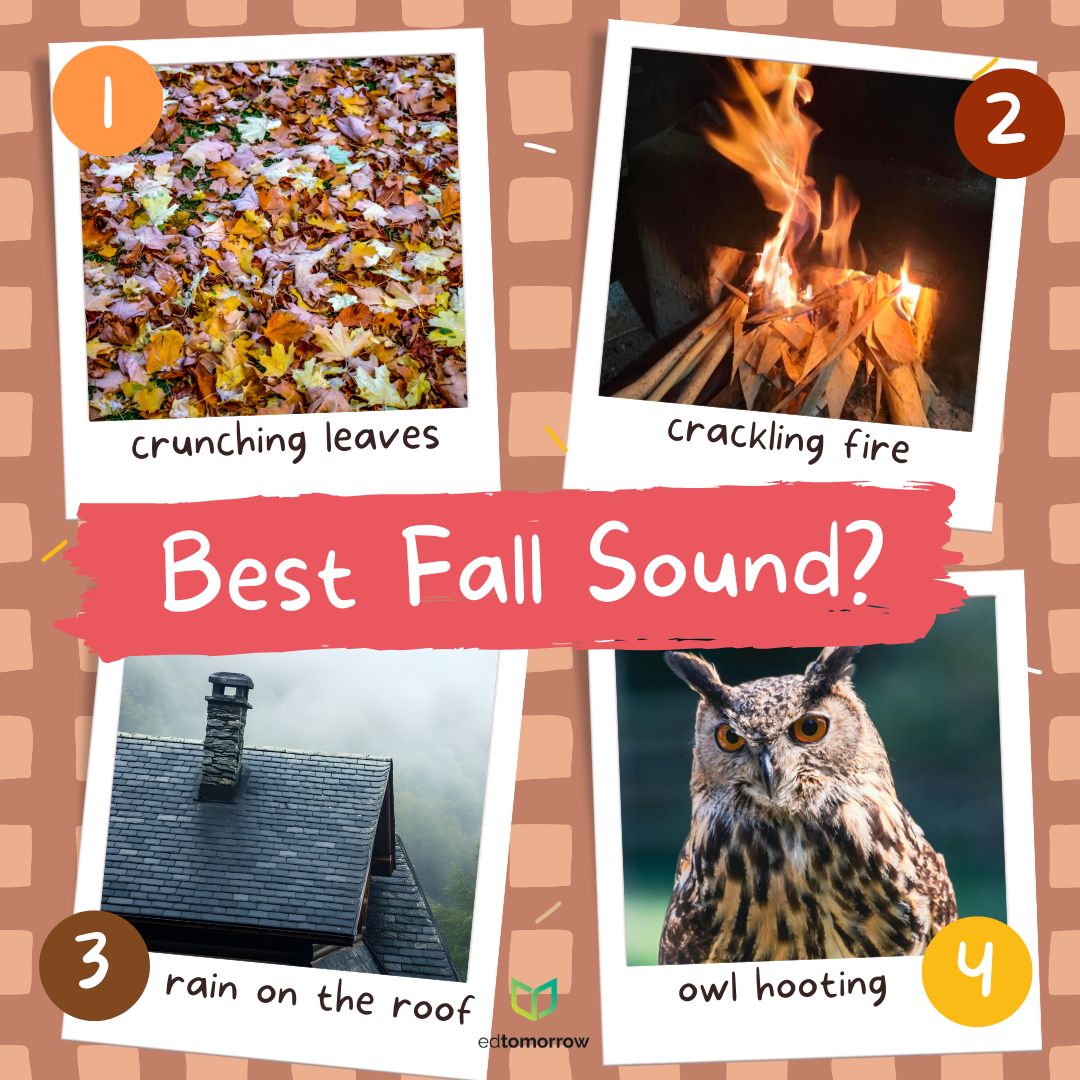 Fall Sounds