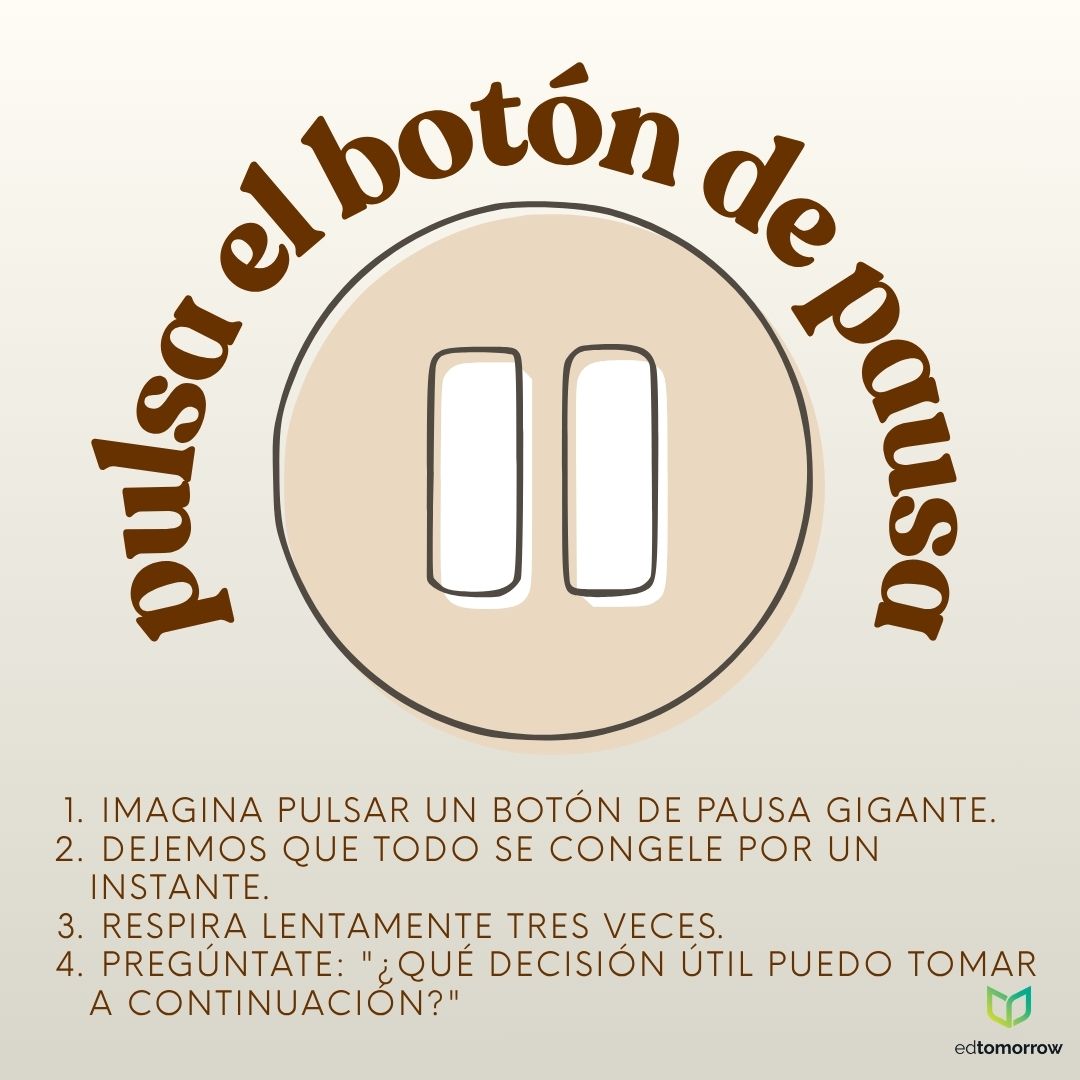 Botón de Pausa