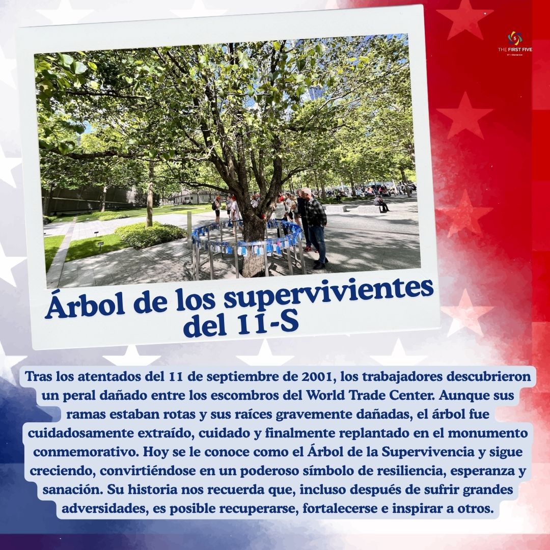 Árbol de los Supervivientes del 11S