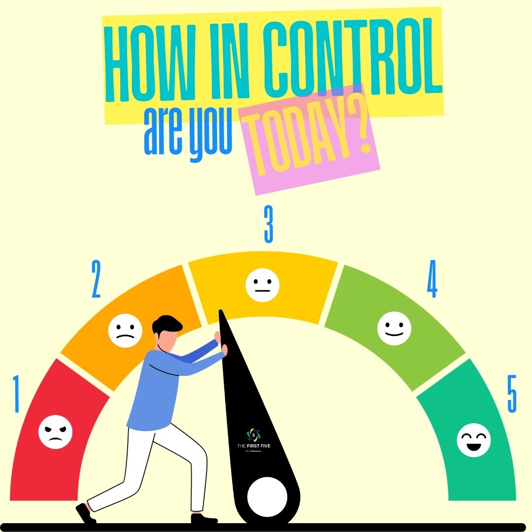 In Control Meter