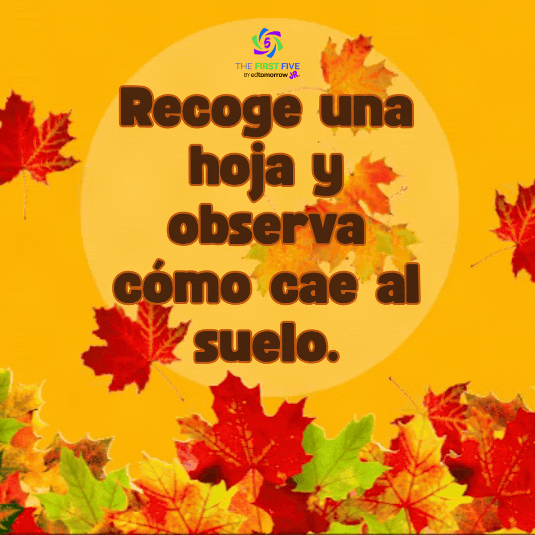 Hojas que Caen