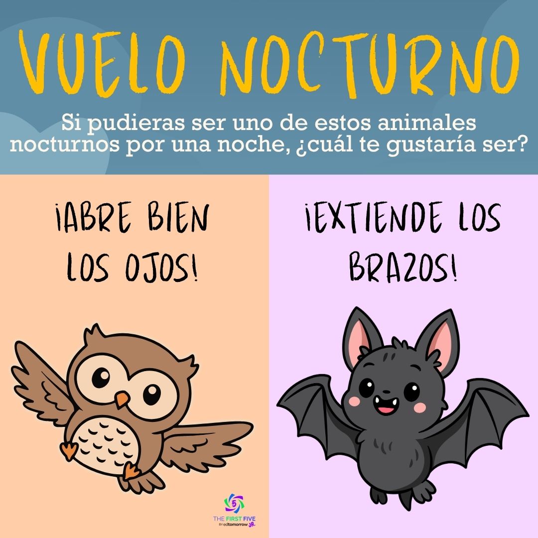 Vuelo Nocturno