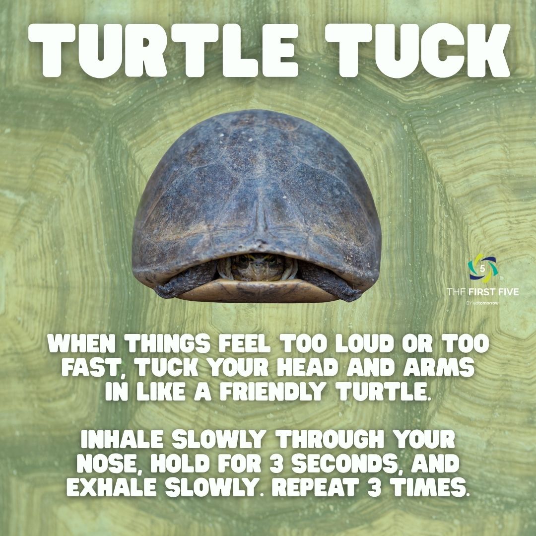 Turtle Tuck
