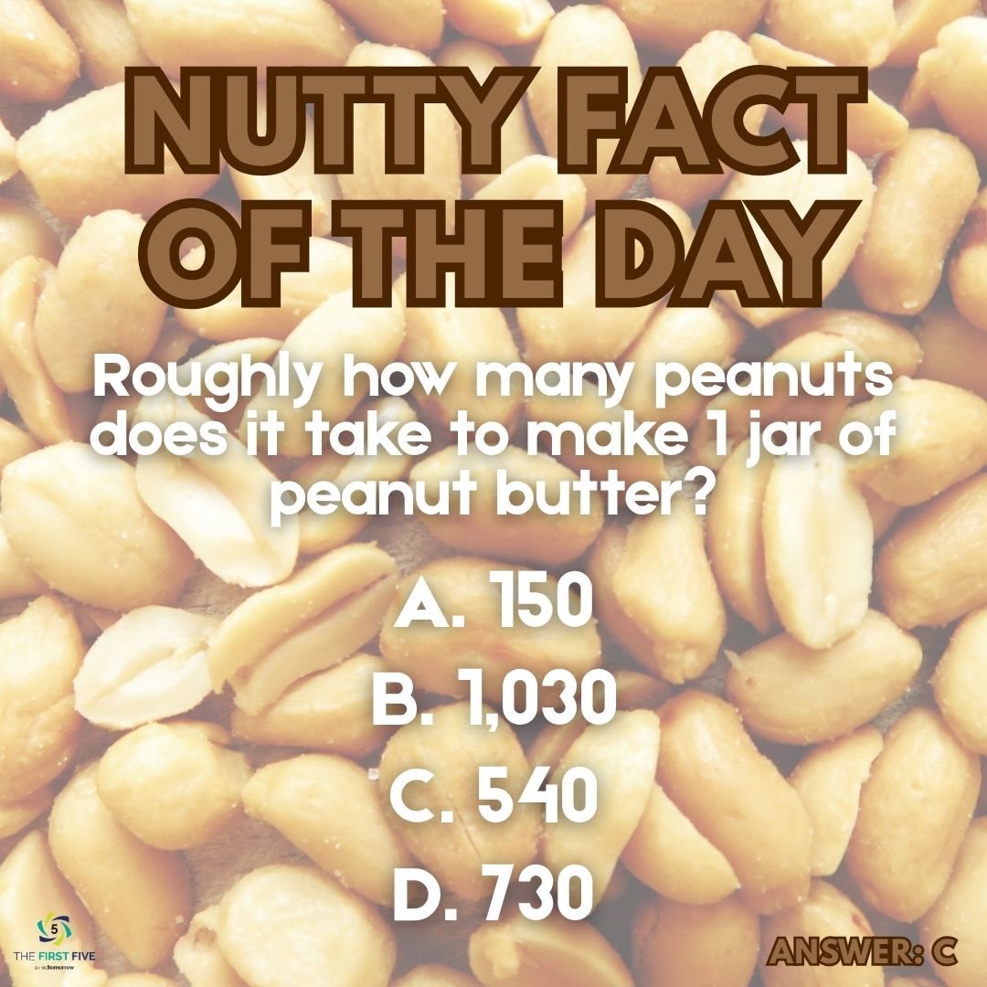 Nutty Fact of the Day