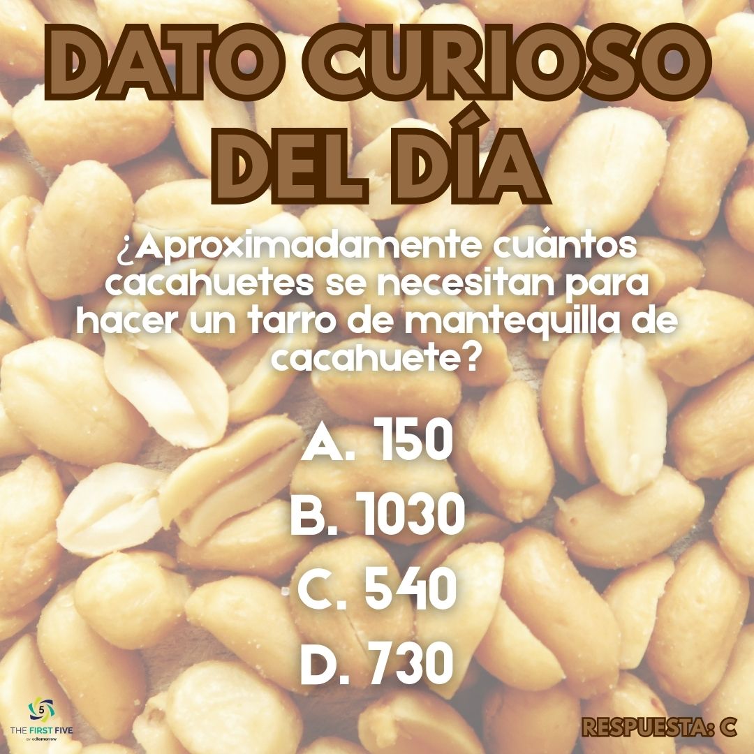 Dato Curioso Del Día