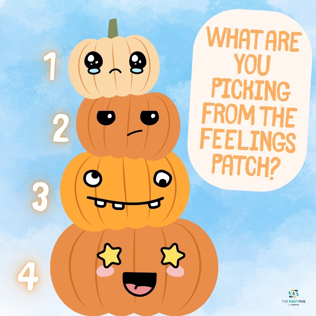 Feelings Pumpkin Patch
