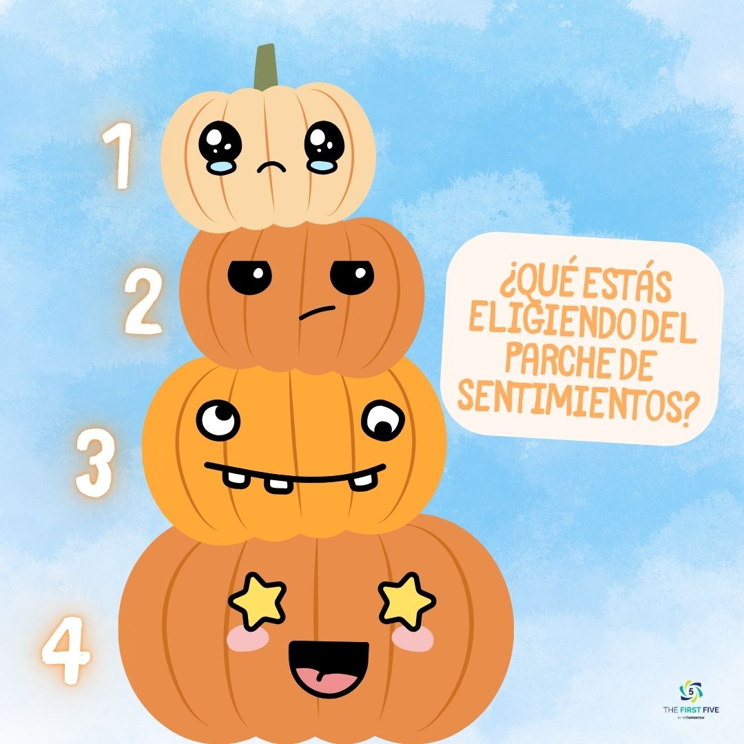 Sentimientos Campo de Calabazas