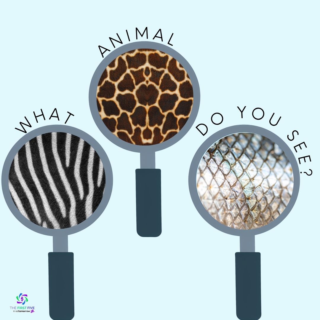 Animal Skin Looking