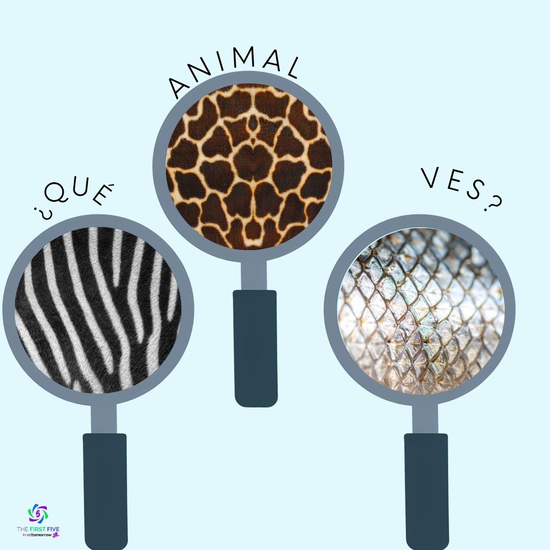 Observación de Pieles de Animales