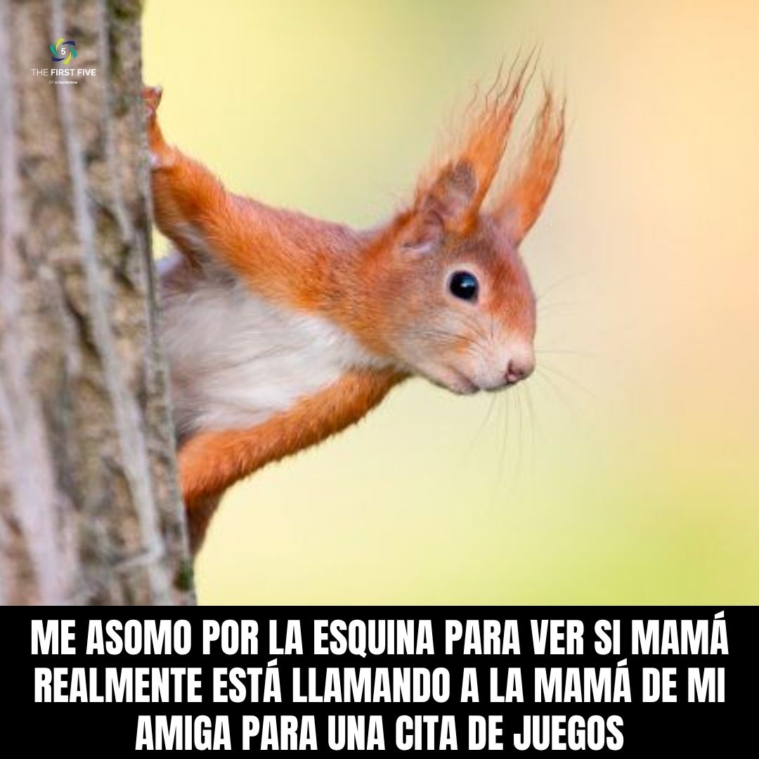 Cita de Juegos de Ardillas Peep