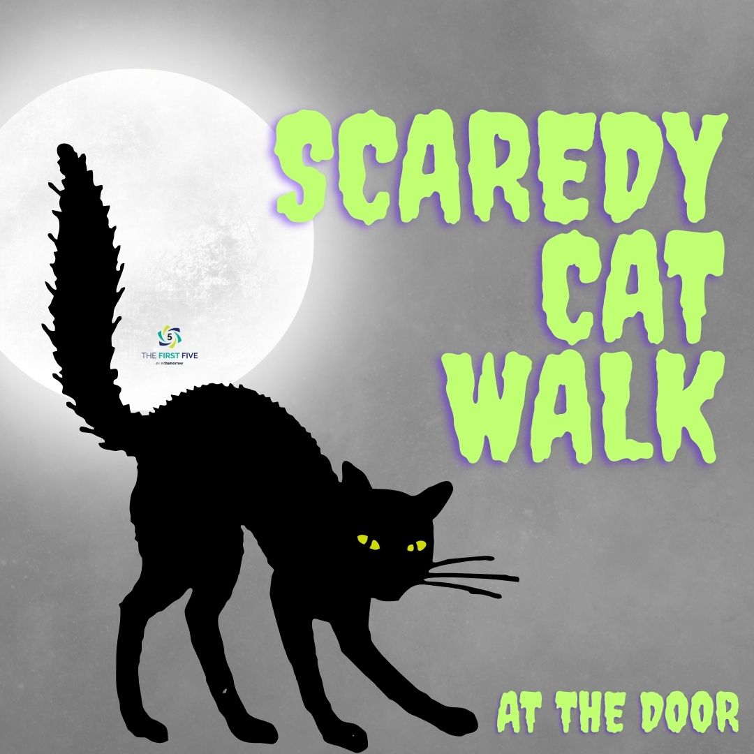 Scaredy Cat Walk